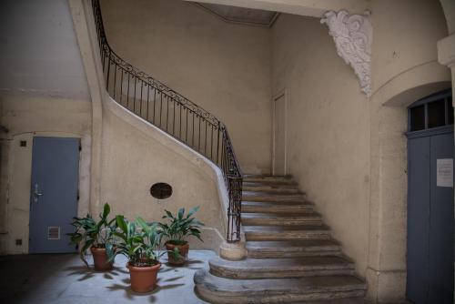 Les Jardins De L´Ecusson - Première Conciergerie Montpellier france