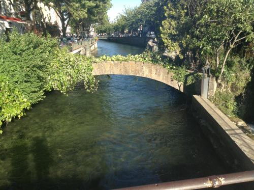 LES LAURIERS LʼIsle-sur-la-Sorgue france