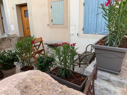 Appartement LES LAURIERS 22 A Rue Denfert Rochereau LʼIsle-sur-la-Sorgue