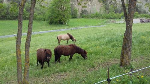 Appartement les lavandes Route de Vaucluse Montjay