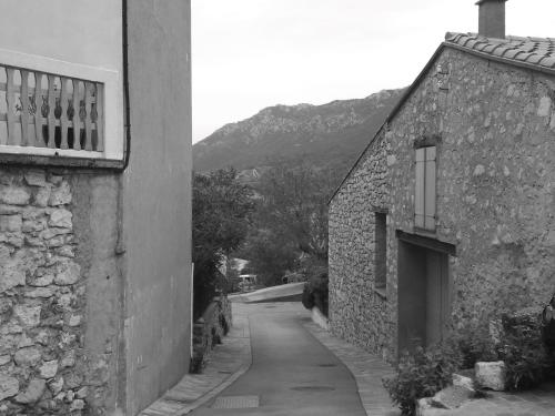 Les lavandes Duilhac-sous-Peyrepertuse france