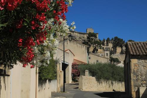 Les lavandes de Sèverine Boulbon france