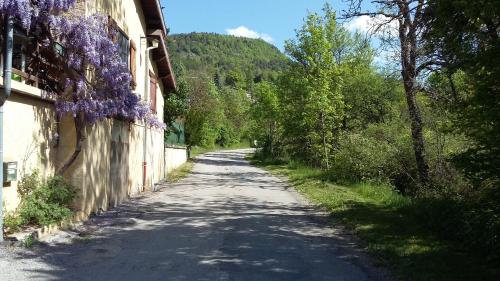 les lavandes Montjay france