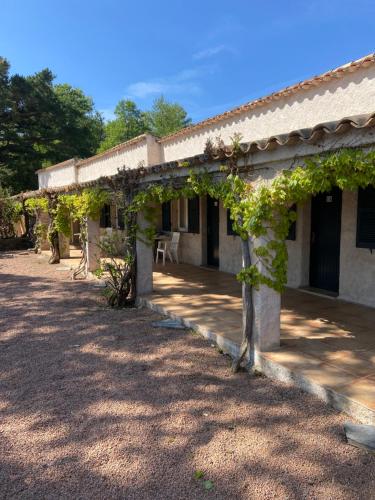 Maison d'hôtes Les Lodges de la Plage 137 Panuzina Sari-Solenzara