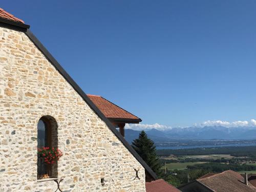 Les Lumières de Genève Grilly france