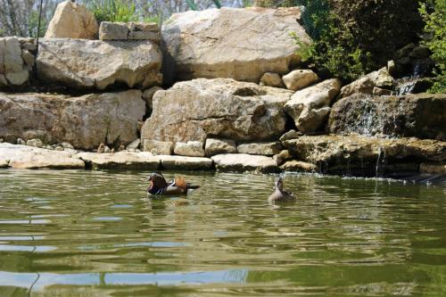 Les Mandarins Baladou france