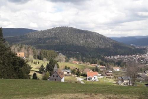 les marmottes Gérardmer france