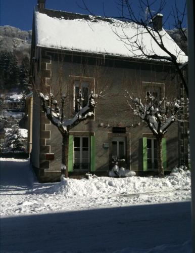 Les mélèzes Le Mont-Dore france