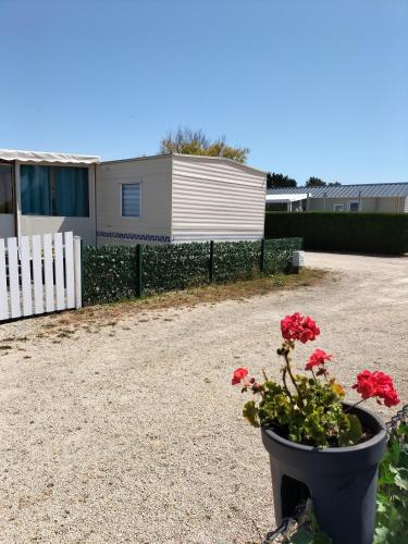 Les Mouettes de Pordic Pordic france