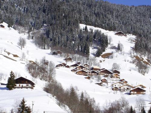 Appartement Les Myosotis Chalet Les Pauses LE PLANAY Arêches