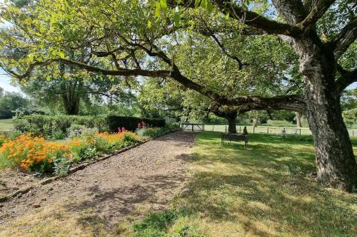 Les Noyers Monestois entre Cher et Canal de Berry Mennetou-sur-Cher france