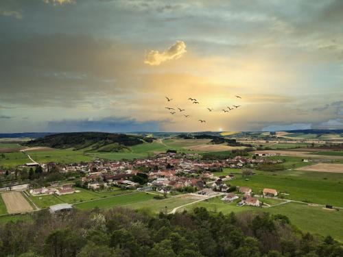 Les Nymphéas 52 Orges france