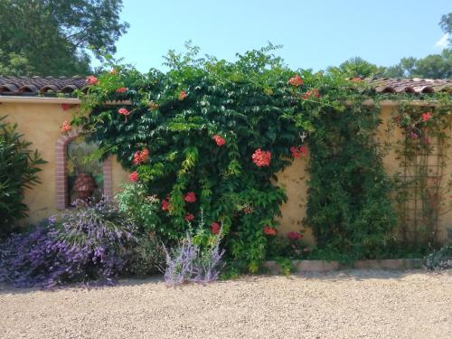 Maison de vacances les oliviers 19 Chemin de Saint-Jean Rosières