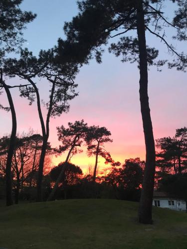 LES PASTOURELLES Capbreton france