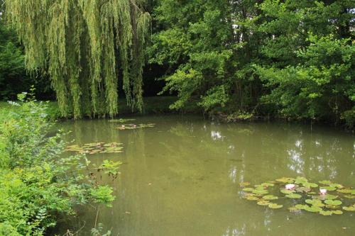 LES PETITS CAILLOUX Lye france