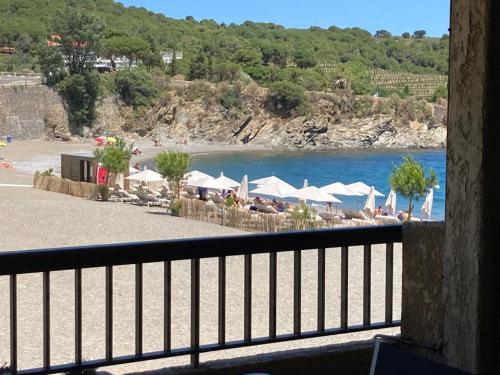 Appartements LES PIEDS DAND L'EAU 1550 Rue des Elmes Banyuls-sur-Mer