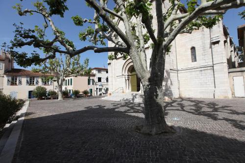 Les Platanes Cassis france