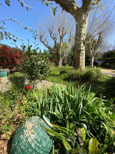 Les Platanes - Rambrandt Rez de Jardin Lamalou-les-Bains france