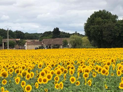 Les Portes Vertes Mairé-lʼEvescault france