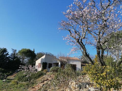 Les romarins Saint-Jean-de-Minervois france