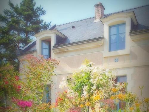 Les Roses de Montherlant Montherlant france