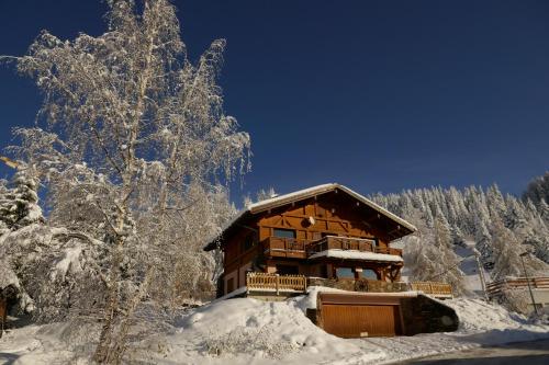 Appartement Les Saisies côté Bisanne appartement dans chalet LE Népal CHALET LE NEPAL 910 AVENUE DES J.O Les Saisies