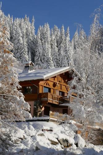 Les Saisies côté Bisanne appartement dans chalet LE Népal Les Saisies france