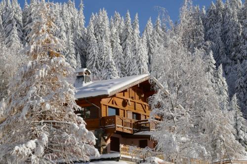 Appartement Les Saisies coté Légette appartement dans chalet chalet le nepal les saisies 910 Avenue des Jeux Olympiques Les Saisies