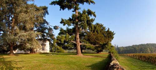 Hôtel Les Secrets Château Pey La Tour - Groupe LOGIS HOTELS Château pey La Tour 32 avenue de la Tour Salleboeuf