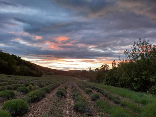 les théolats Rochefort-en-Valdaine france