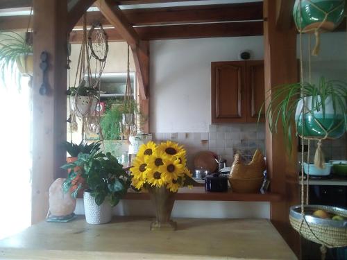 B&B / Chambre d'hôtes Les Tournesols L'Emerière La Bernardière