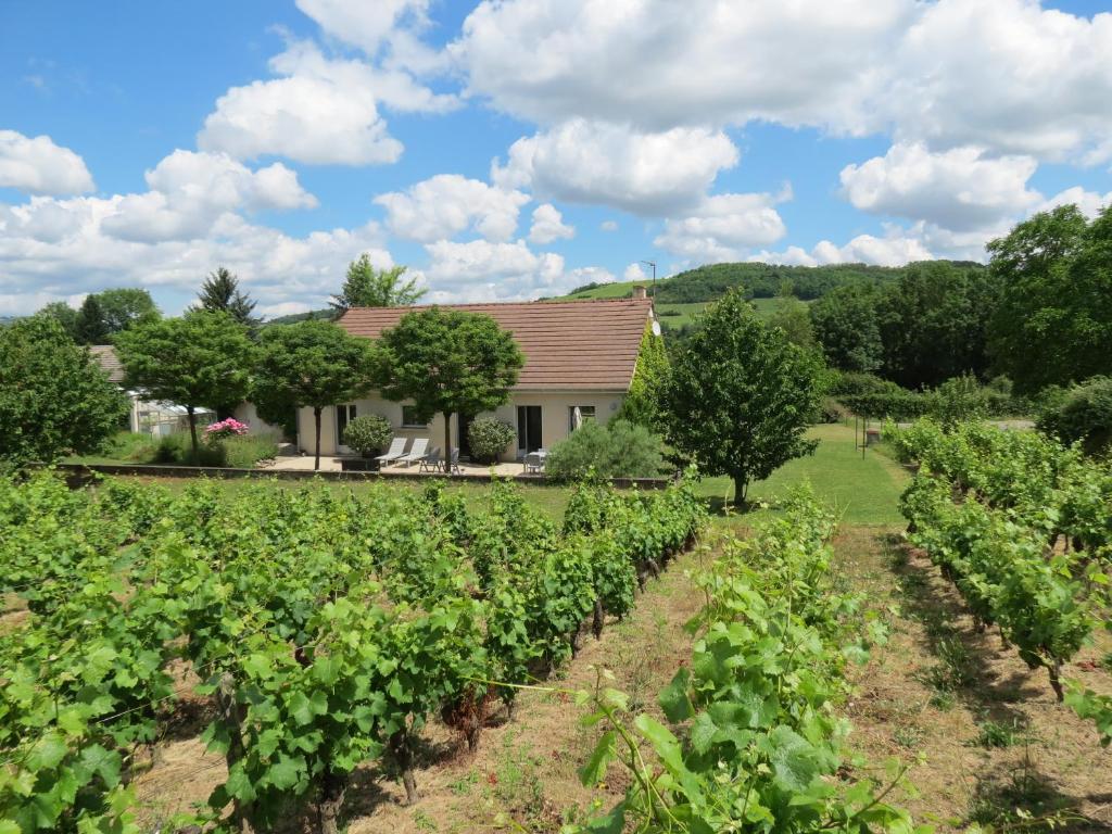 Maison de vacances Les Vignes de Paris 40 Rue de Cocelles, 71150 Paris-lʼHôpital