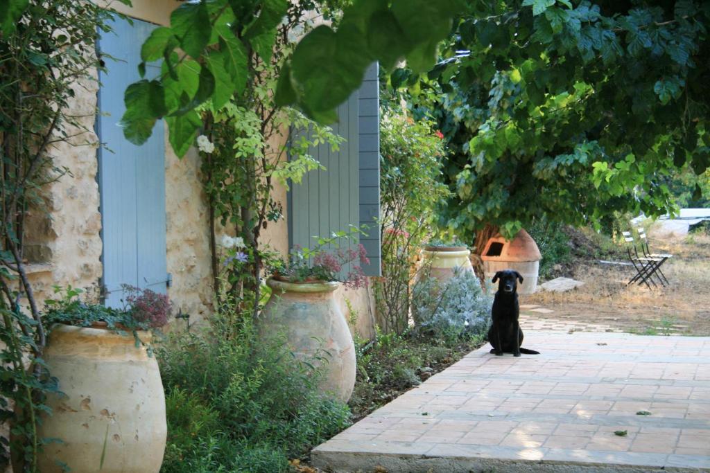 Appartements Les Vignes de Terrisse Route de Cotignac, 83570 Entrecasteaux