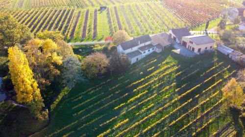 Les Vignes Pomport france