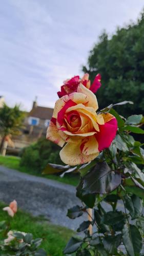 B&B / Chambre d'hôtes lesroses1680 11 Rue du Vieux Lavoir Blainville-sur-Mer