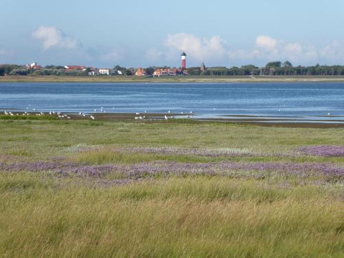 Appartement Leuchtturmblick Schulstr. 7 2. OG Wangerooge