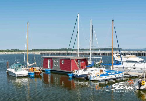 Lewisia - Stern Hausboot Barth allemagne