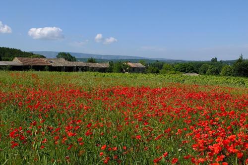 B&B / Chambre d'hôtes Li Poulidetto la Combe lieu dit sur le chateau Lioux