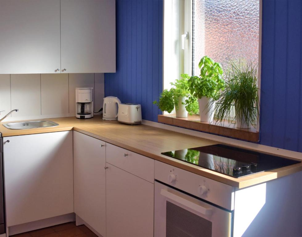 Appartements Liebevoll hinterm Deich - Ferienwohnungen Lundenerkoog 1, 25774 Lehe