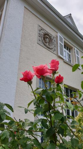 Appartements Lilienmatt Apartments Lilienmattstrasse 18 Baden-Baden