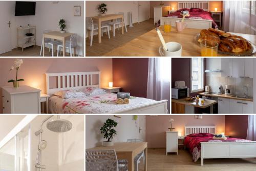 Appartement LOC TROTTEUR LE PIVOINE Studio Grand confort, Gare SNCF de Lourdes 1 Avenue Saint-Joseph Lourdes