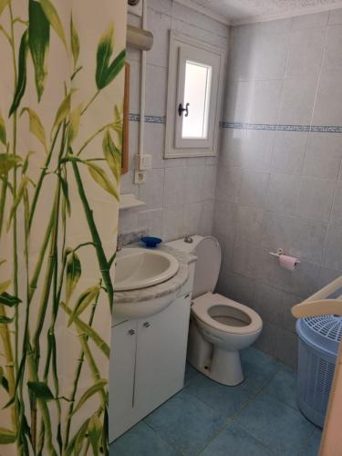 Appartement LOCATION CORSE Chemin de Canari Canari