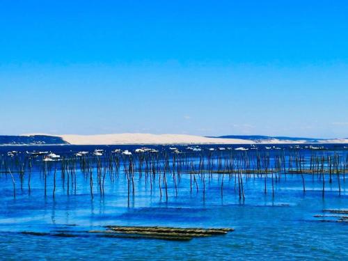 location de vacances Bassin Arcachon Le Teich france