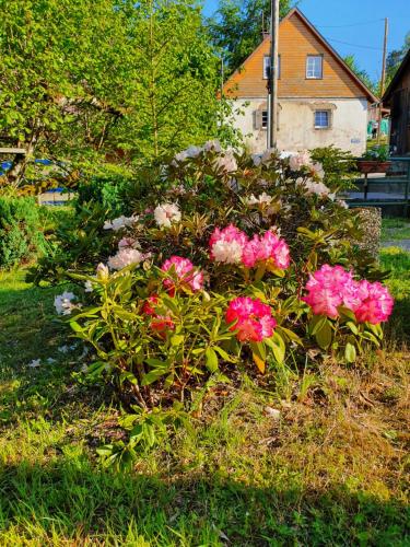 Locations Dupertuis Alsace Le Hohwald france