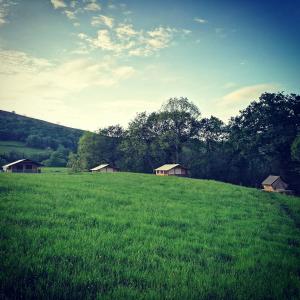 Borda Lodge