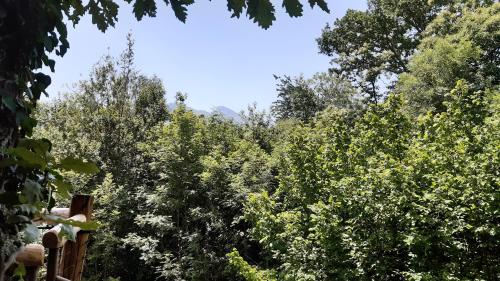 Caban'Aspe