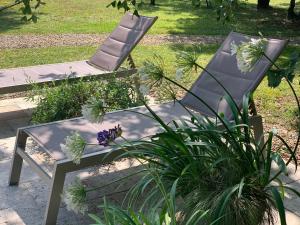 cabane lodge avec spa privatif