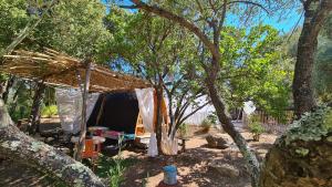 Gîte atypique : Le Pod