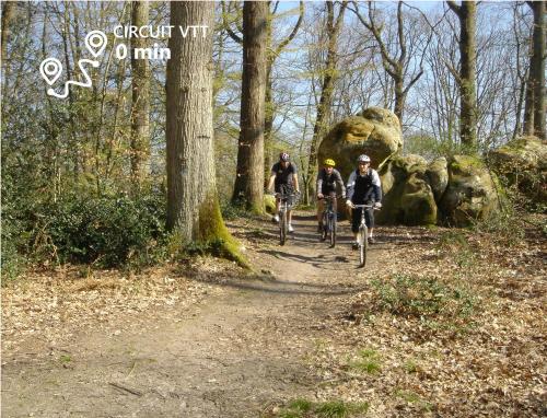 Kabanéo - gîte et sauna- Samois sur Seine - Forêt de Fontainebleau