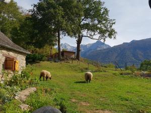 La Bergerie de Louvie